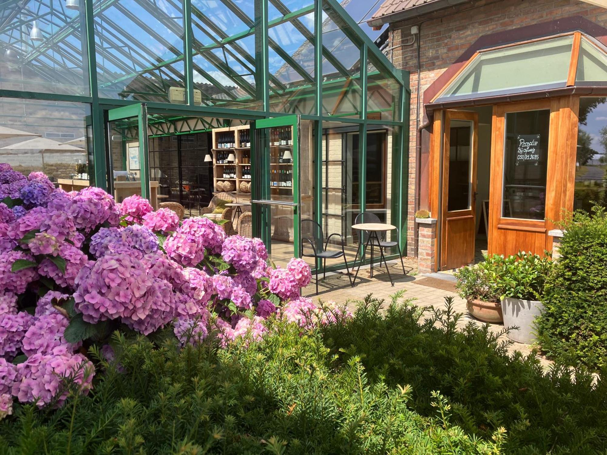 Tannine Et Cuisine Villa Jabbeke  Exterior photo